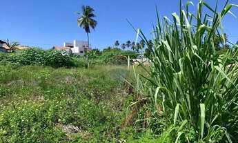 Imagem 8: No Paraíso de Tatuamunha tem umTerreno esperando por você!