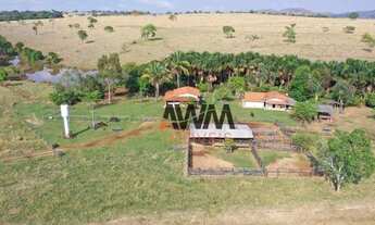 Imagem 2: Fazenda à venda, 3291200 m² por R$ 10.900.000,00 - Zona Rural - Jaraguá/GO