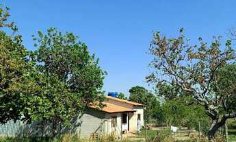 Imagem 3: Sítio em faina-GO