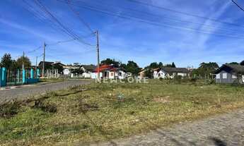Imagem 2: Lote em Rua São Francisco de Assis - Querência - São Francisco de Paula/RS