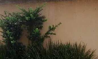 Imagem: Maravilhosa Casa, em excelente localização