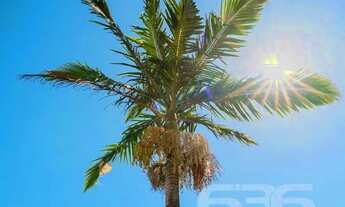 Imagem 4: Casa | Joinville