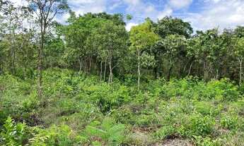Imagem 6: Chácaras de 20mil cercada e com córrego no fundo em Cromínia!