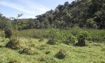 Imagem 3: Linda fazenda sem sede, de 82 hectares, * WhtsApp Guilherme