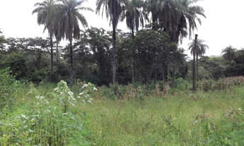 Imagem 5: Linda chácara de 1.500 m², Serra do Cipó (Temos varias opções