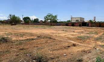 Imagem 7: Ótima opção de investimento!