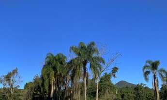 Imagem 2: Sítio Lush valley