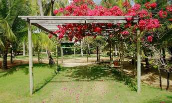 Imagem 5: Casa luxuosa no condomínio Quintas do Coqueiral na beira-mar de Maracajaú