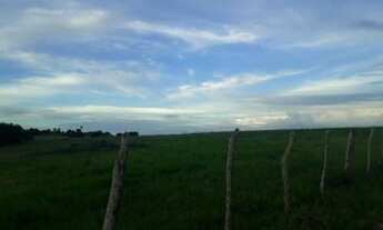 Imagem 2: Fazenda com 50 hectares estruturada na região de Monte Alegre