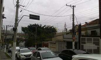 Imagem: São Paulo - Terreno Padrão - Tatuapé