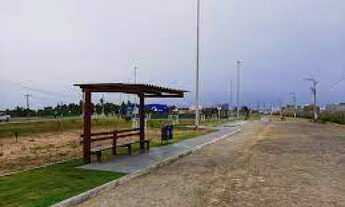 Imagem 3: Lote luar da barra 1 (Colorado)>