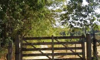 Imagem 2: Fazenda à venda em Goianápolis