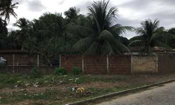 Imagem 3: Excelente terreno de granja em São José de mipibu - RN