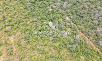 Imagem 6: Chácara bruta a venda com 60.000m² a 500m do asfalto, região de Taquaruçu