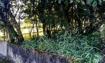 Imagem 6: FLORIANóPOLIS - Terreno Padrão - MORRO DA CRUZ