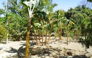 Imagem 5: Sítio para Venda em Esmeraldas, Vargem Bento da Costa