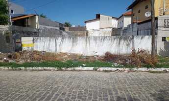 Imagem 3: EXELENTE Terreno