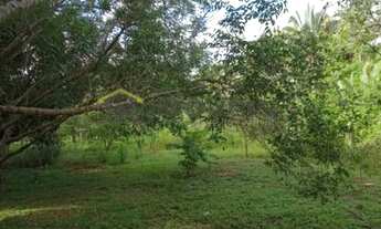 Imagem 7: SÍTIO - CACIMBA VELHA