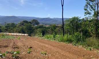 Imagem 6: Terreno caminho de cora