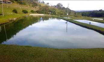 Imagem 6: Fazenda/Sítio/Chácara para venda tem metros quadrados em Azurita - Mateus Leme - MG