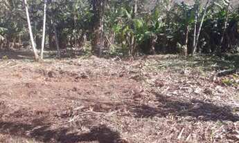 Imagem 2: Chácara com 15.000m2 Morretes - Antonina