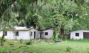 Imagem 1: Sítio 12 hectares em Águas claras, Viamão com duas casas, galpão e açude
