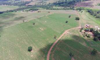 Imagem 3: Fazenda em 24 alqueires Bela Vista-Go