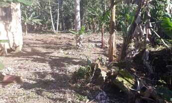 Imagem 5: Chácara com 15.000m2 Morretes - Antonina