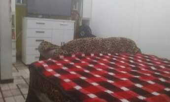 Imagem 6: CASA RESIDENCIAL em SÃO PAULO - SP, BORTOLÂNDIA