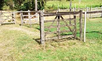 Imagem 7: Fazenda de 30 hectares em Esmeraldas com ampla área de pastagem, rica em água
