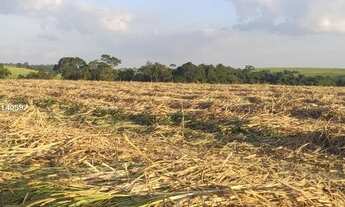 Imagem 2: Fazenda de 62 Alqueires em Porto Feliz - SP