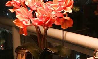 Imagem 2: Apartamento para venda com 38 metros quadrados com 1 quarto em Vila Mariana - São Paulo