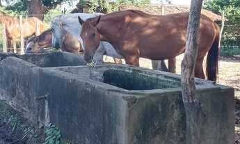 Imagem 3: Excelente Fazenda com 49 hectares na região de São Gonçalo do Amarante