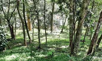 Imagem 3: Oportunidade Única - Terreno à venda, 395 m² por R$ 200.000 - Vargem Grande, Cônego - Nova