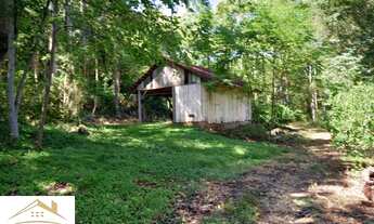 Imagem 3: Lindo Sitio reservado em meio a natureza a 4 km da RS235 em Nova Petrópolis RS REF: 474