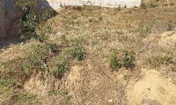 Imagem 5: CONSELHEIRO LAFAIETE - Terreno Padrão - São Marcos