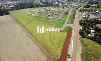 Imagem 2: Terreno para Venda em Cascavel, Brazmadeira