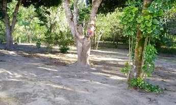 Imagem 3: Vende-se um SÍTIO - perto de Santo Amaro - 3.000m2