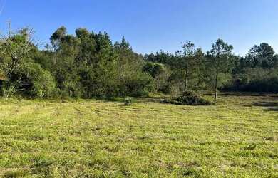 Imagem 13: Sítio Plano E Com Nascente Para Fazer Açude. ROB:842