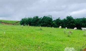 Imagem 5: Terreno Privilegiado E Exclusivo para Construir A Casa Dos Seus Sonhos