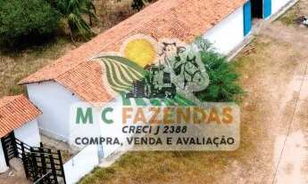 Imagem 2: Fazenda à Venda em Cicero Dantas - BA