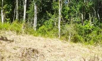 Imagem 3: Exelente terreno Corrégo dos micos