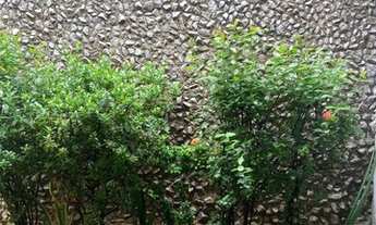 Imagem 6: Casa á venda Casa com 2 dormitórios