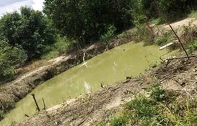 Imagem 7: Fazenda/Sítio/Chácara com 15.000 mt2 para venda tem 250 mt2 de Casa com 4 quartos