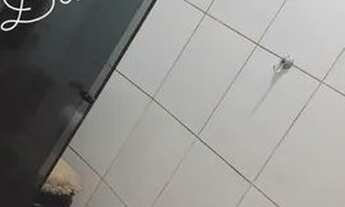 Imagem 6: Casa na Liberdade bem localizada próximo q rua principal com cobertura!!!!!