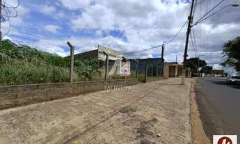 Imagem 2: Salão/Galpão (salão - térreo