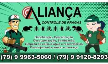 Imagem: DEDETIZAÇÃO MOSQUEIRO E PRAIAS