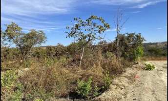 Imagem 2: Lotes em Caldas Novas