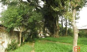 Imagem 3: Casa à venda, 3 quartos, 10 vagas, Glória - Porto Alegre/RS