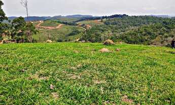 Imagem: Lote/Terreno para venda possui 1000 metros